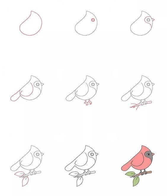 Lintu idea (16) piirustus