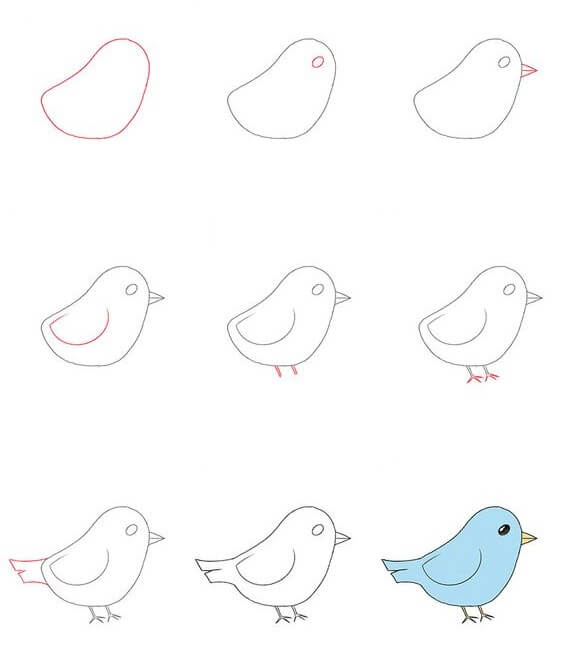 Lintu idea (18) piirustus