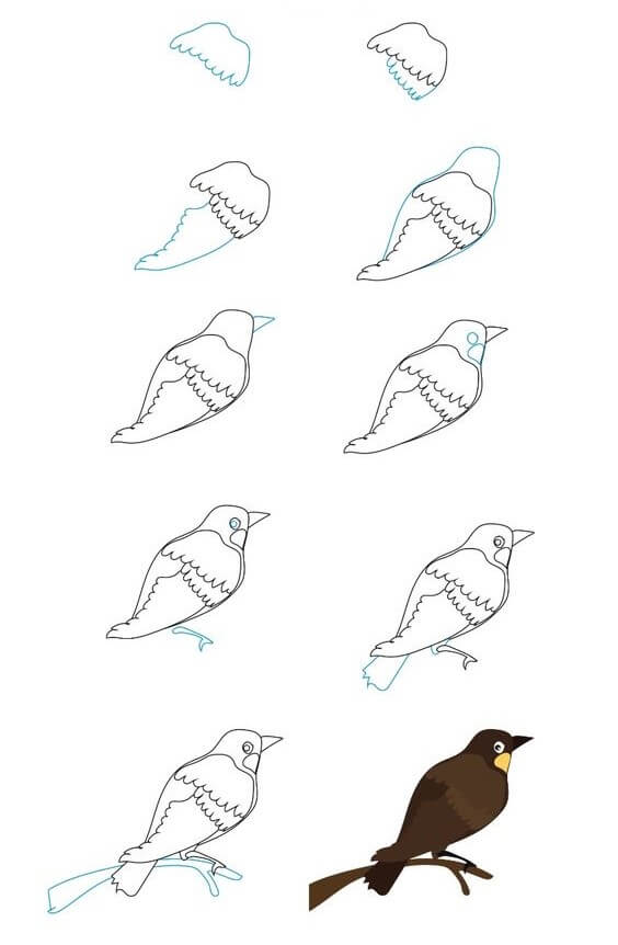 Lintu idea (2) piirustus