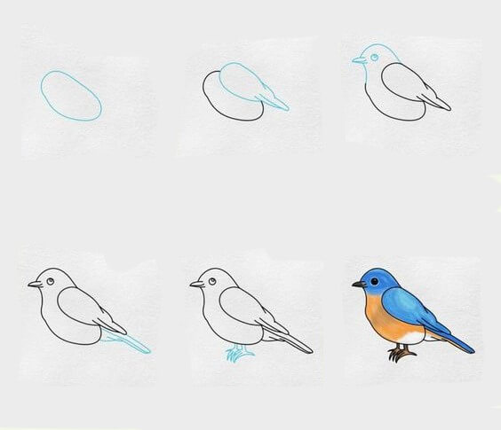 Lintu idea (20) piirustus