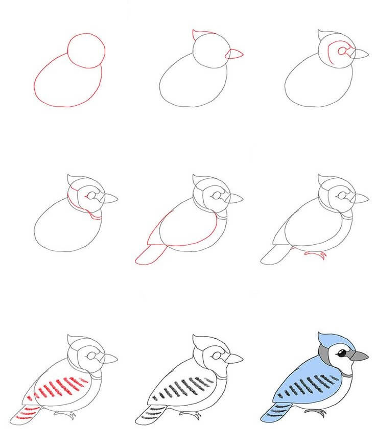 Lintu idea (21) piirustus