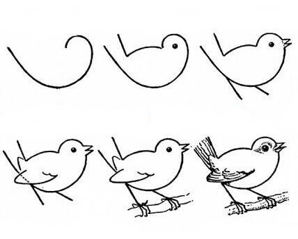 Lintu idea (22) piirustus
