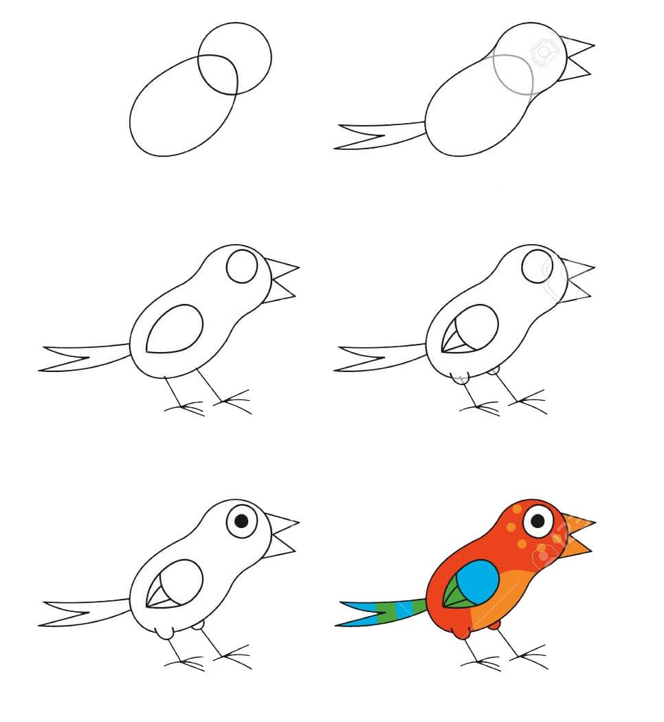 Lintu idea (23) piirustus