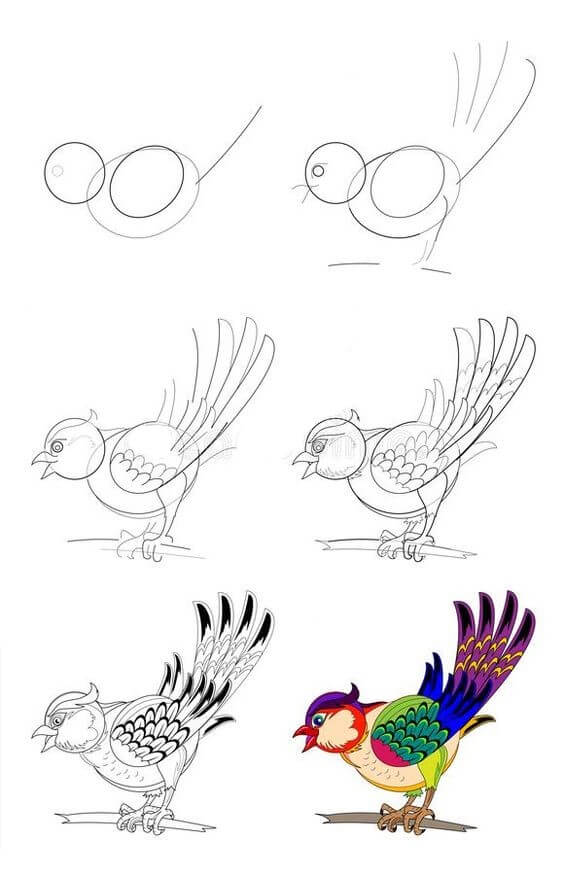 Lintu idea (26) piirustus