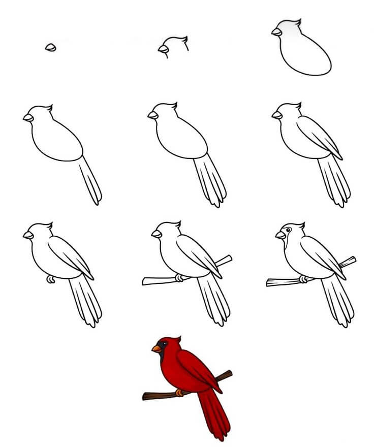 Lintu idea (28) piirustus