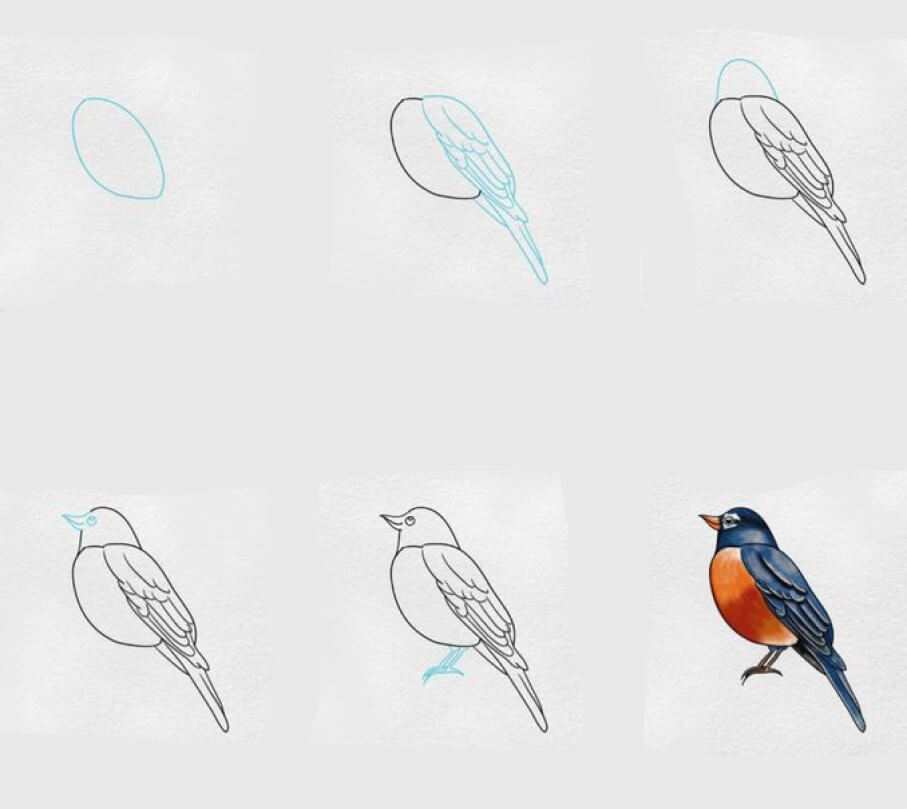 Lintu idea (29) piirustus
