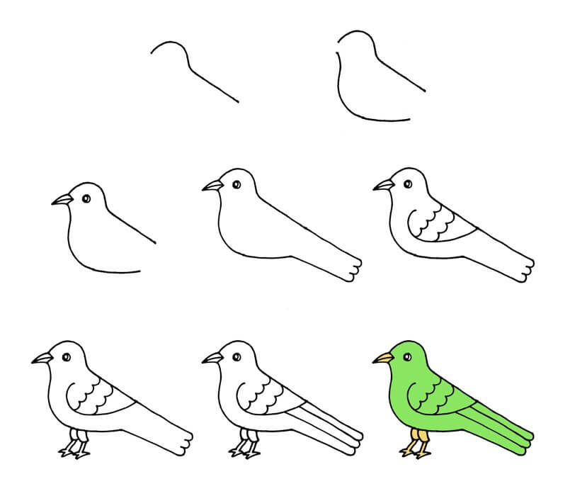 Lintu idea (32) piirustus