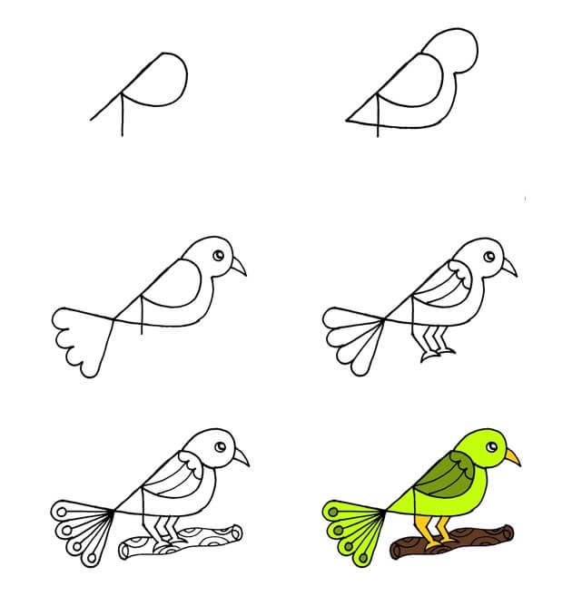 Lintu idea (34) piirustus