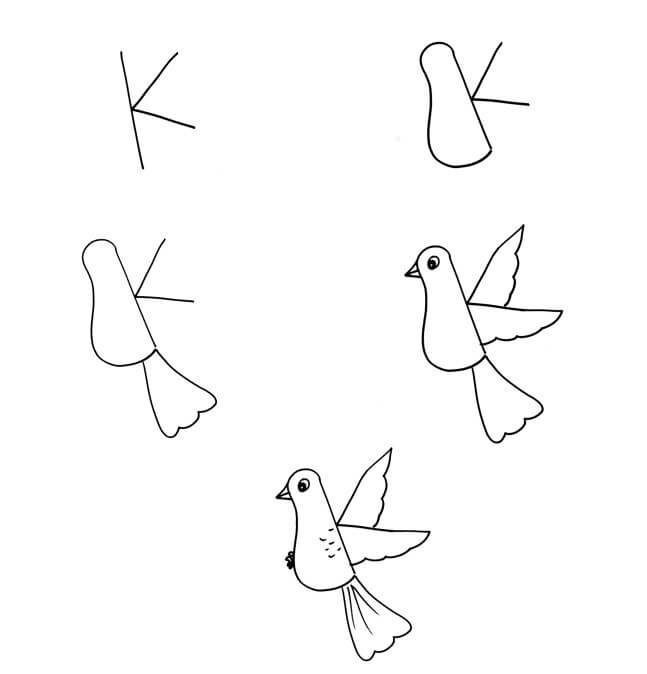 Lintu idea (35) piirustus