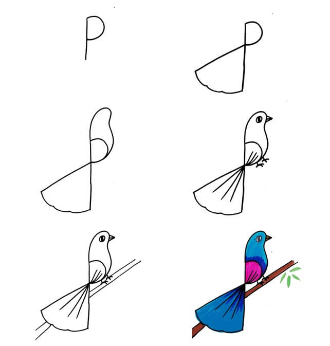 Lintu idea (36) piirustus
