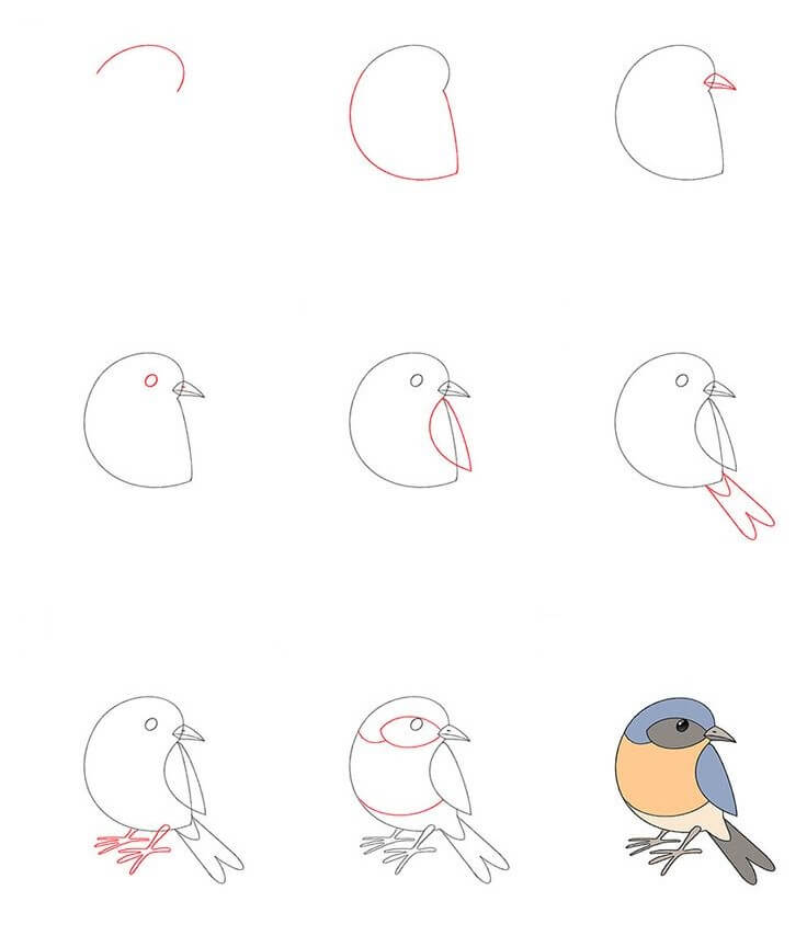 Lintu idea (5) piirustus