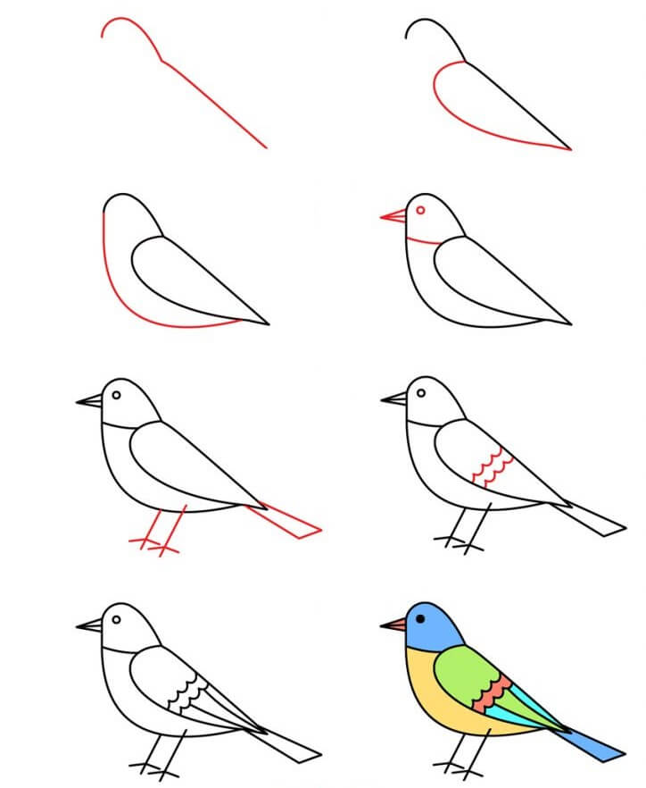 Lintu idea (6) piirustus