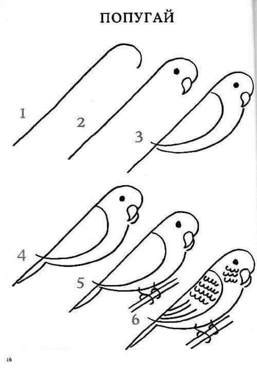 Lintu-idea 7 piirustus