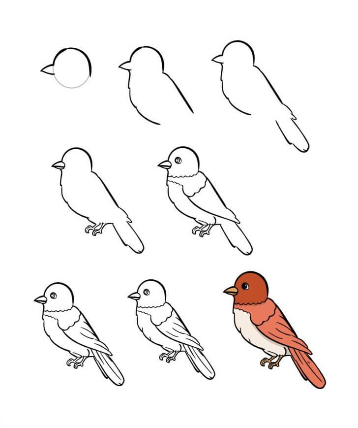 Lintu idea (7) piirustus