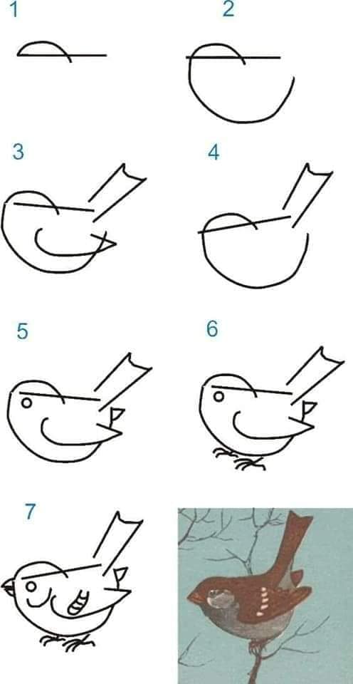 Lintu – Idea 9 piirustus