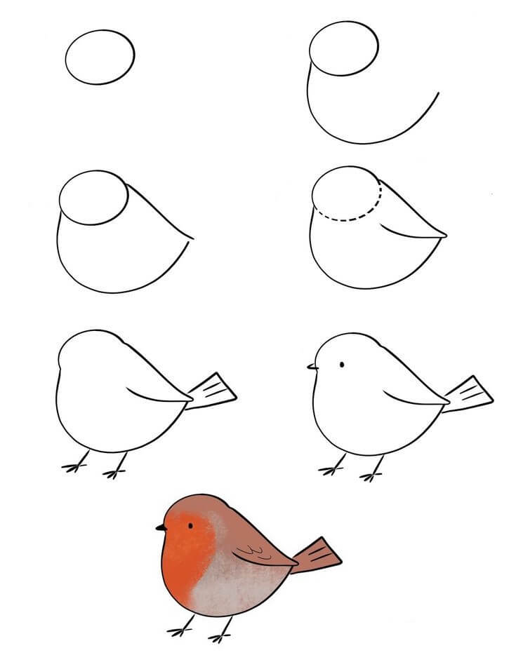 Lintu idea (9) piirustus