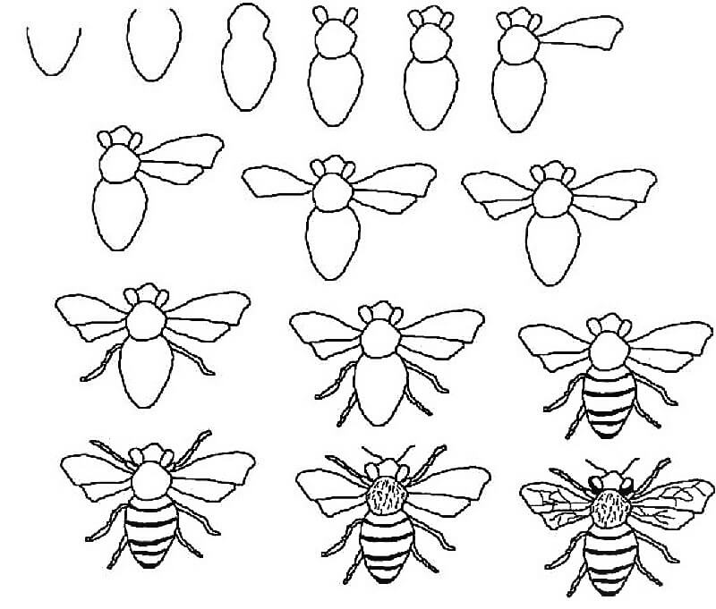 Mehiläinen idea 12 piirustus