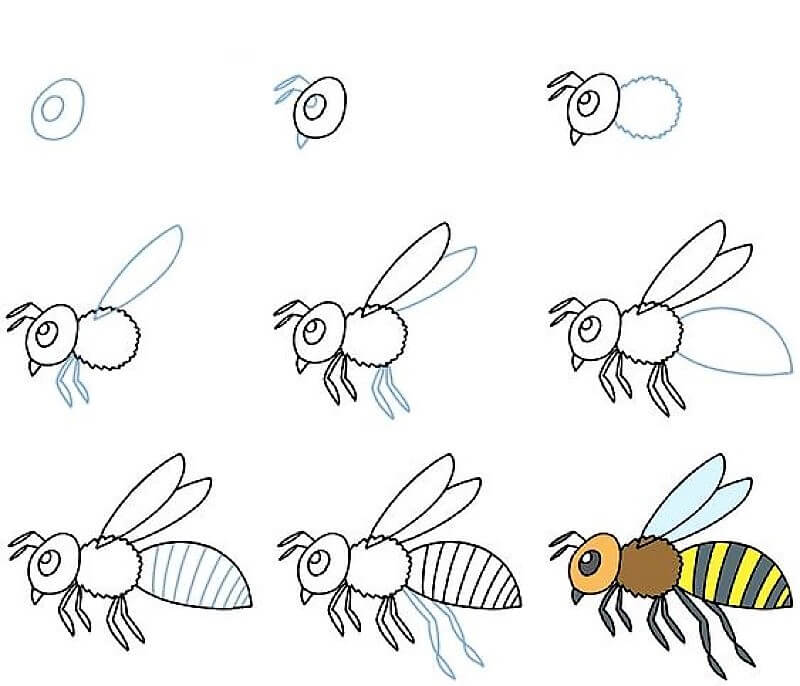 Mehiläinen idea 13 piirustus