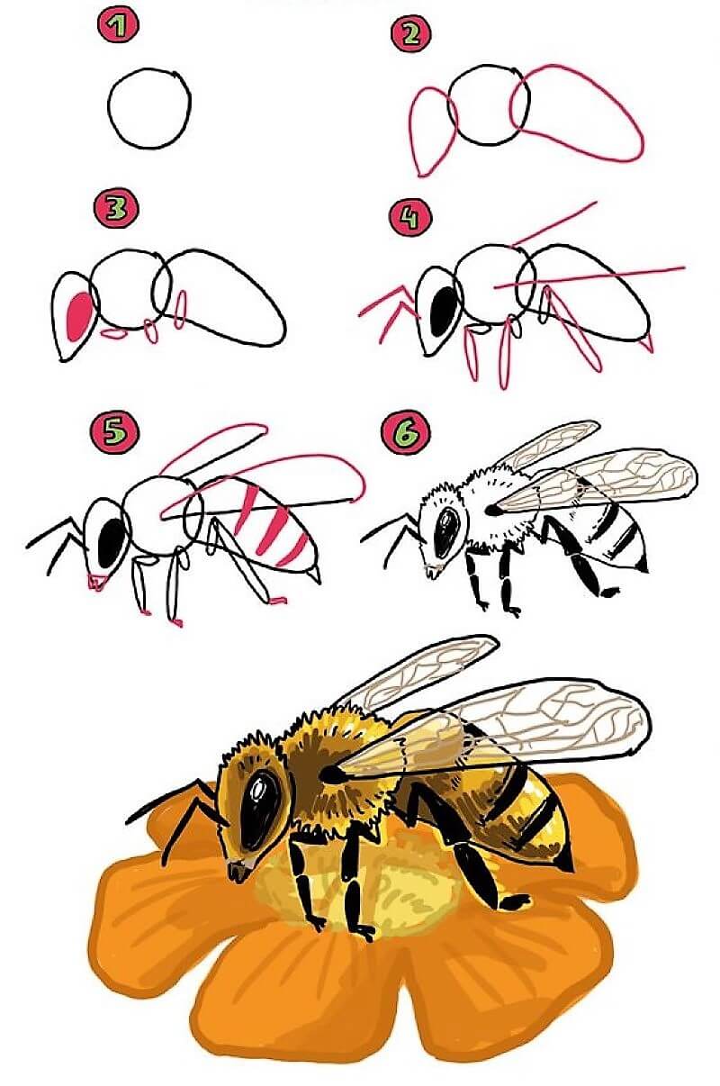 Mehiläinen idea 15 piirustus