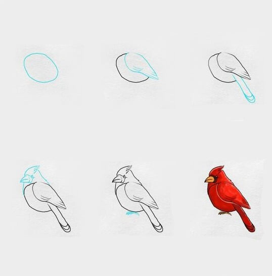Punainen lintu piirustus