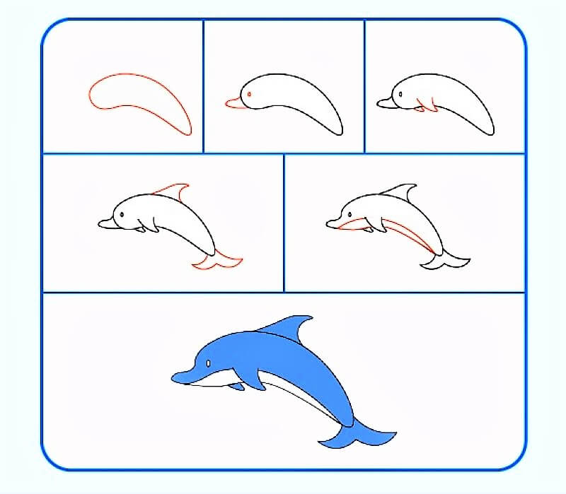 Realistinen delfiini piirustus
