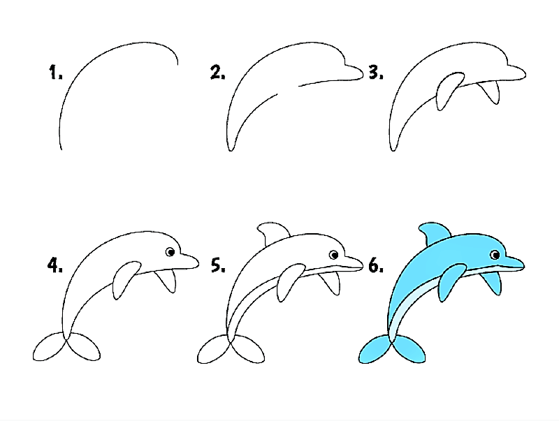 Sininen delfiini piirustus