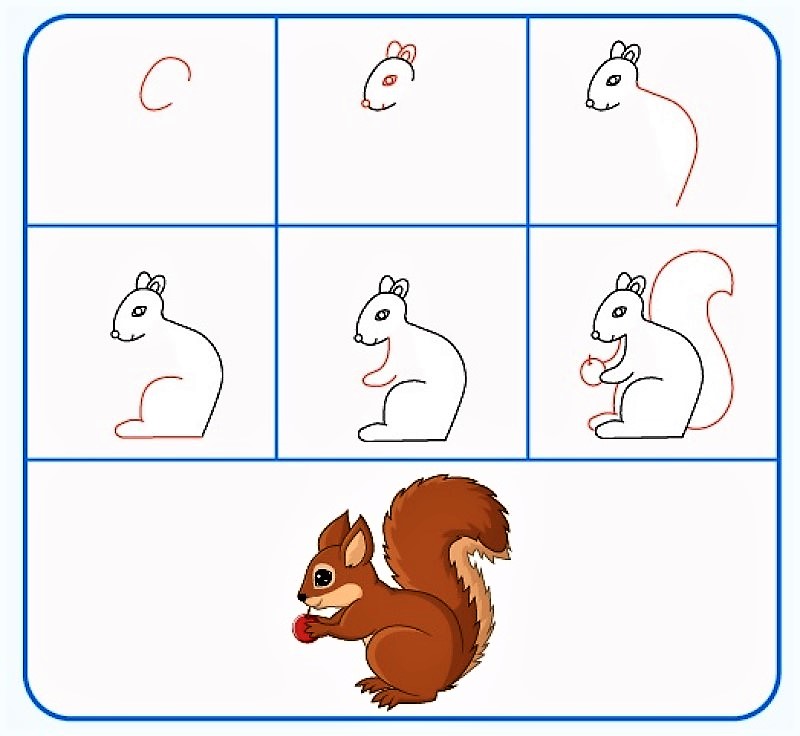 A squirrel idea 11 piirustus