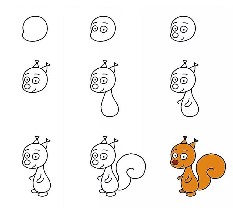 Orava-idea 10 piirustus