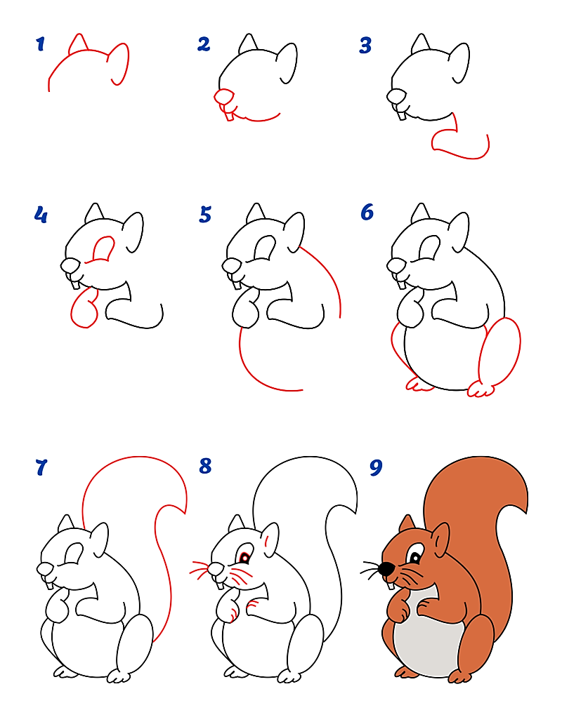 Orava-idea 13 piirustus