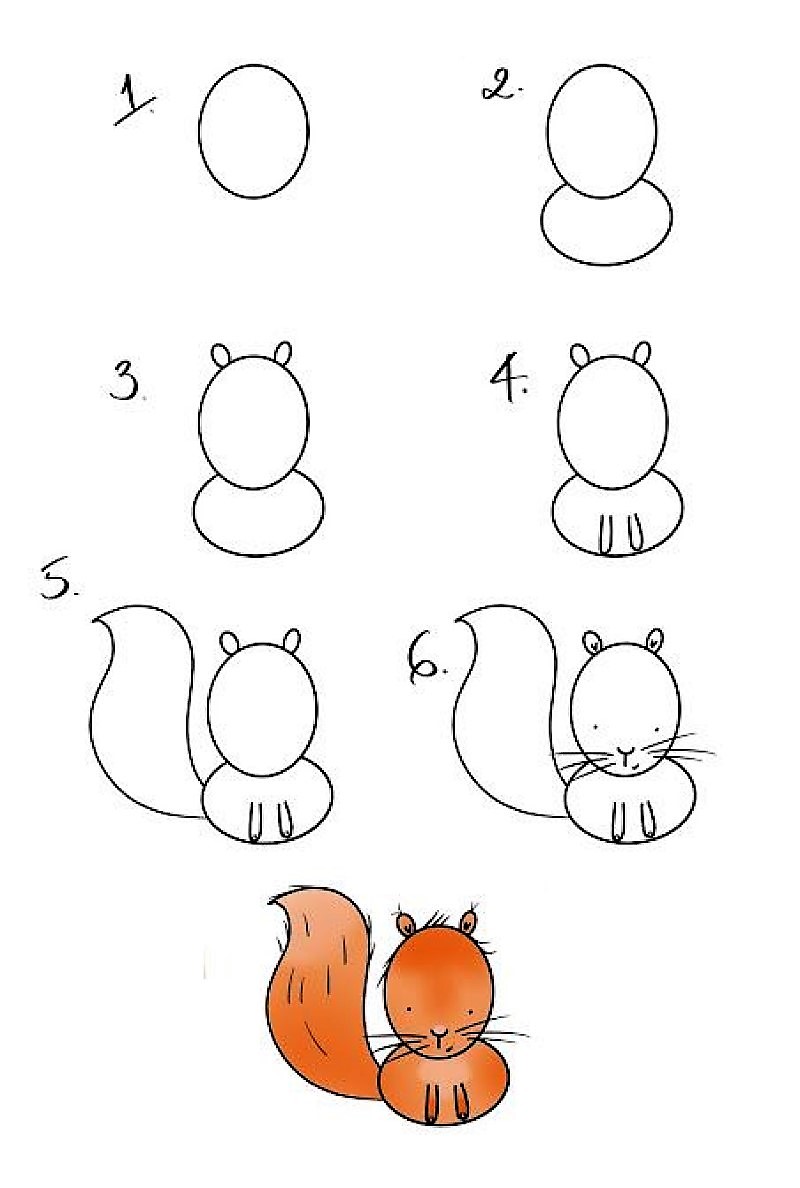 Orava-idea 6 piirustus