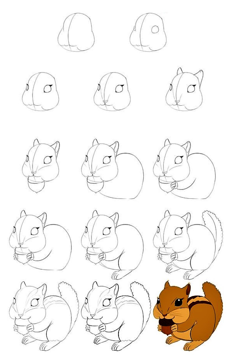 Orava-idea 8 piirustus