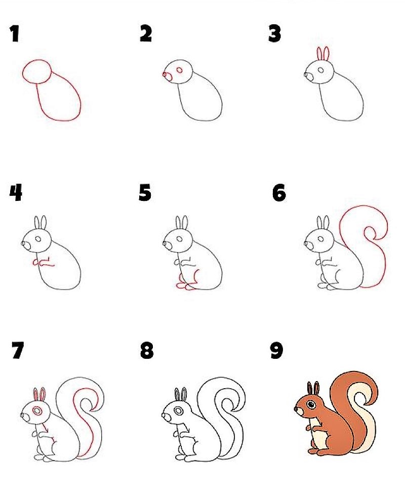 Orava-idea 9 piirustus