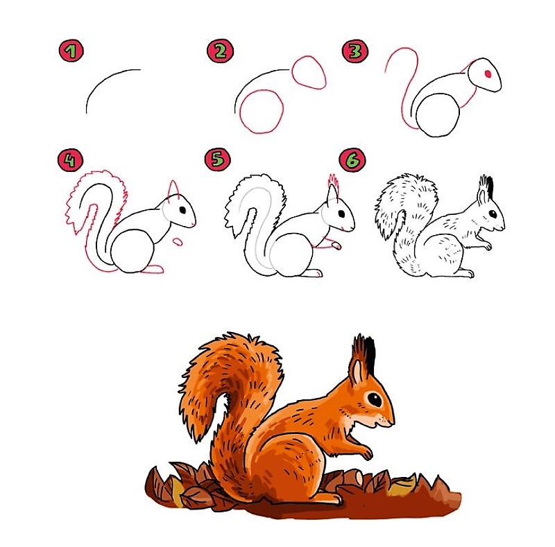 Sarjakuva-orava piirustus