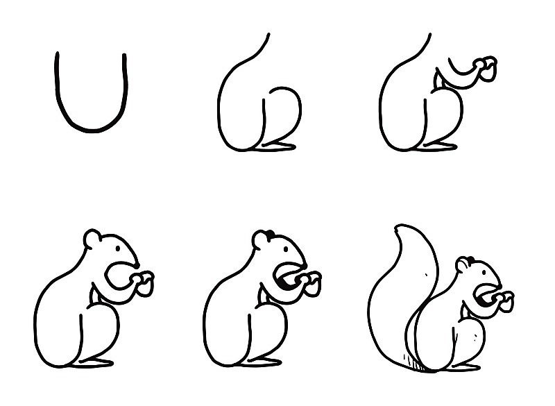 Yksinkertainen orava piirustus