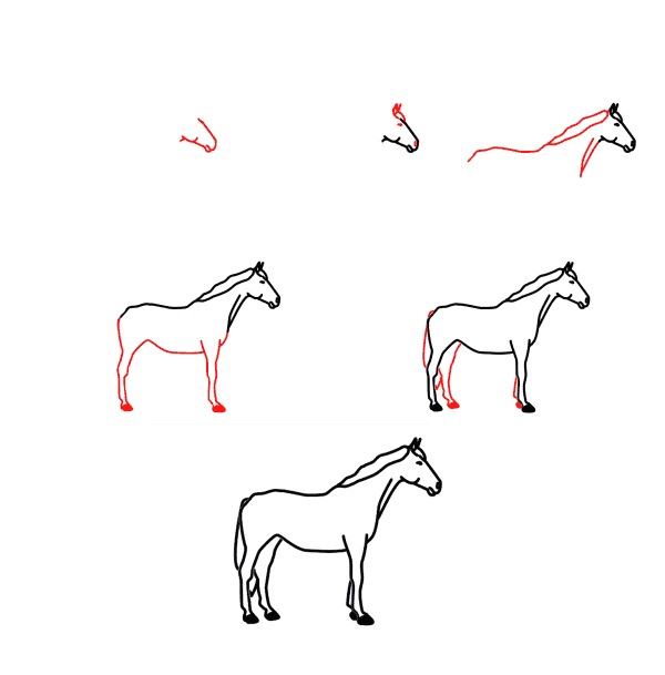 Hevonen piirustus
