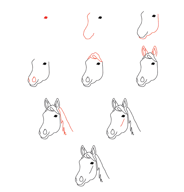 Hevosen kasvot piirustus