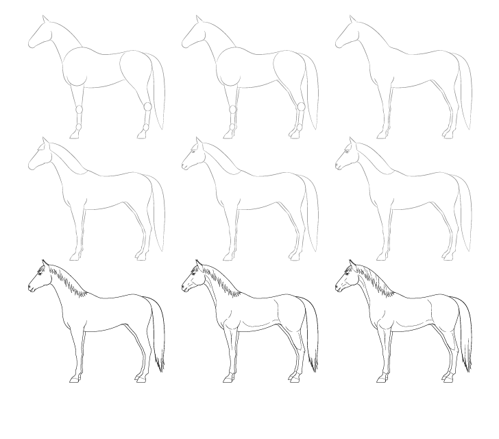 Hevosen piirustus piirustus
