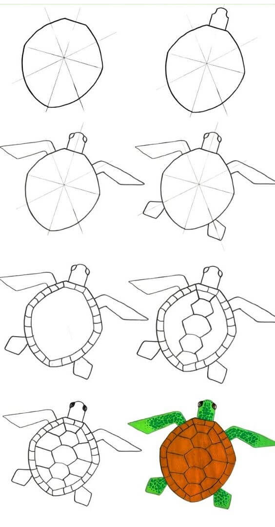 kilpikonna idea (14) piirustus