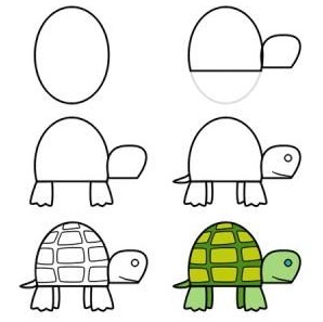 Kilpikonna idea 5 piirustus