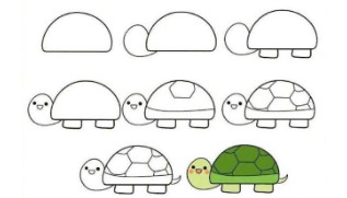 Kilpikonna piirustus