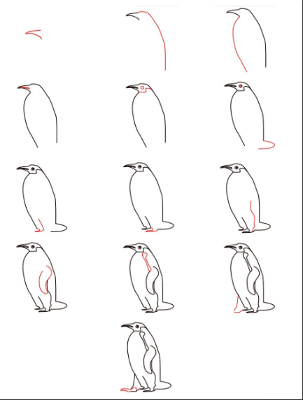 Yksityiskohtaiset pingviinit piirustus