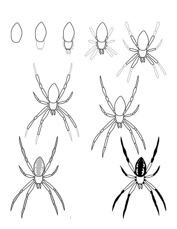 Hämähäkki-idea 5 piirustus