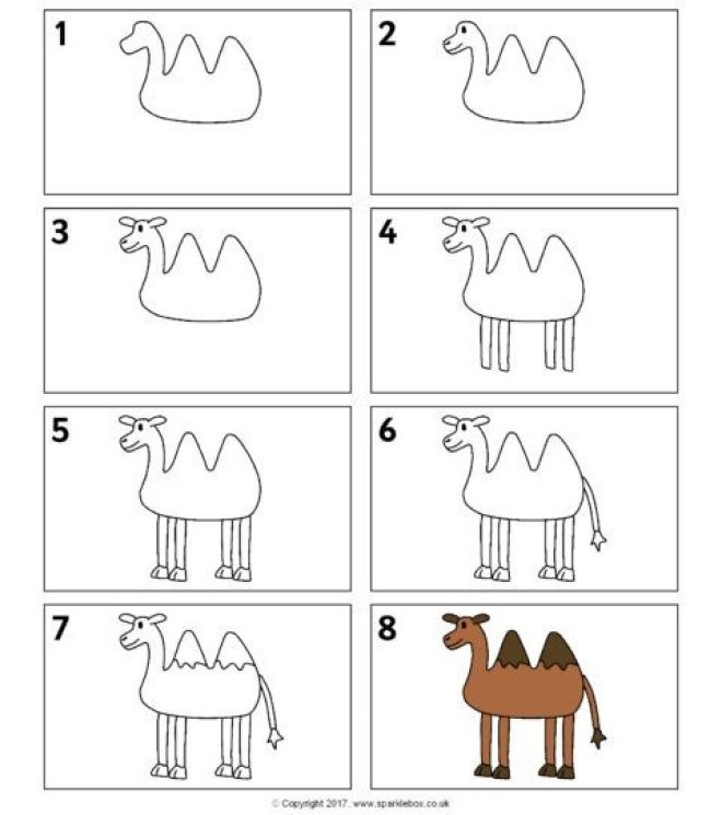 Kameli idea 6 piirustus