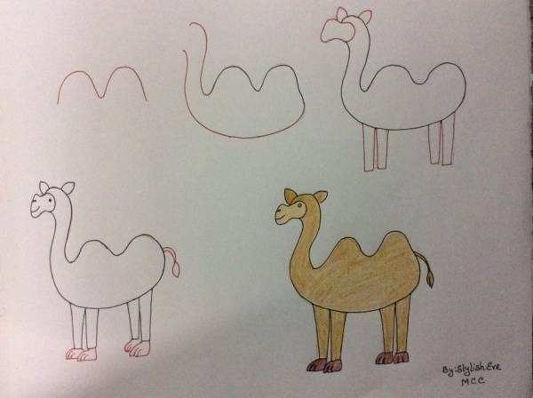 Kameli idea 7 piirustus