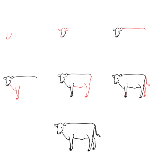 Lehmä piirustus