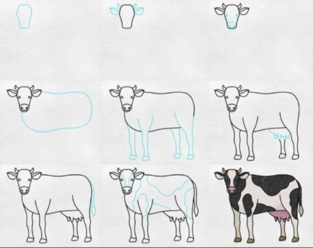Lehmän idea (1) piirustus