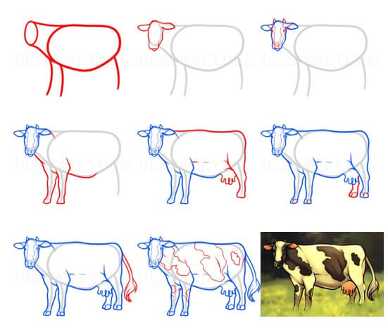 Lehmän idea (6) piirustus