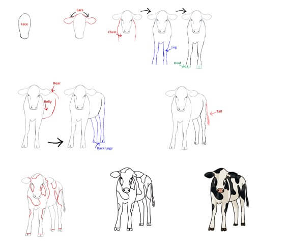 Lehmän idea (8) piirustus