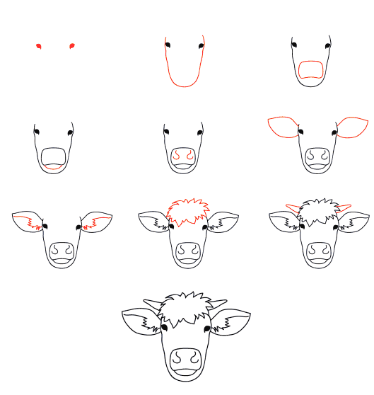 Lehmän kasvot piirustus