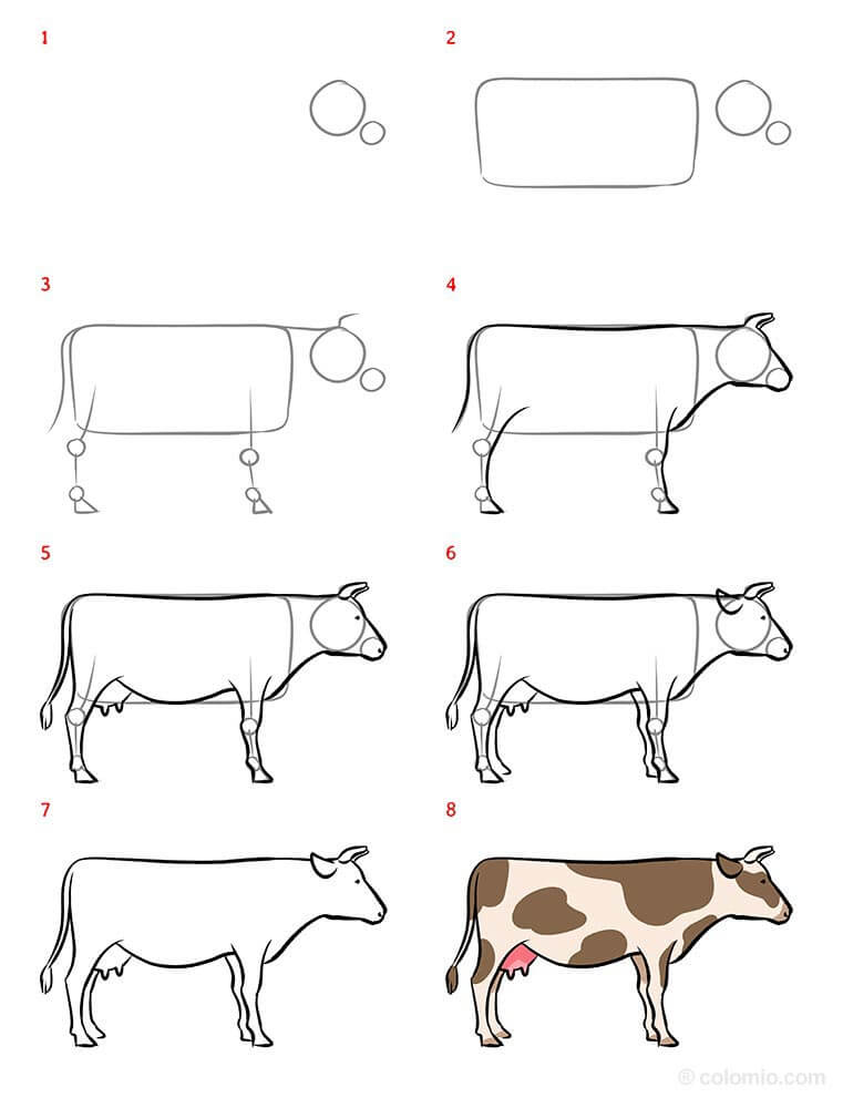 lehmän piirtäminen piirustus